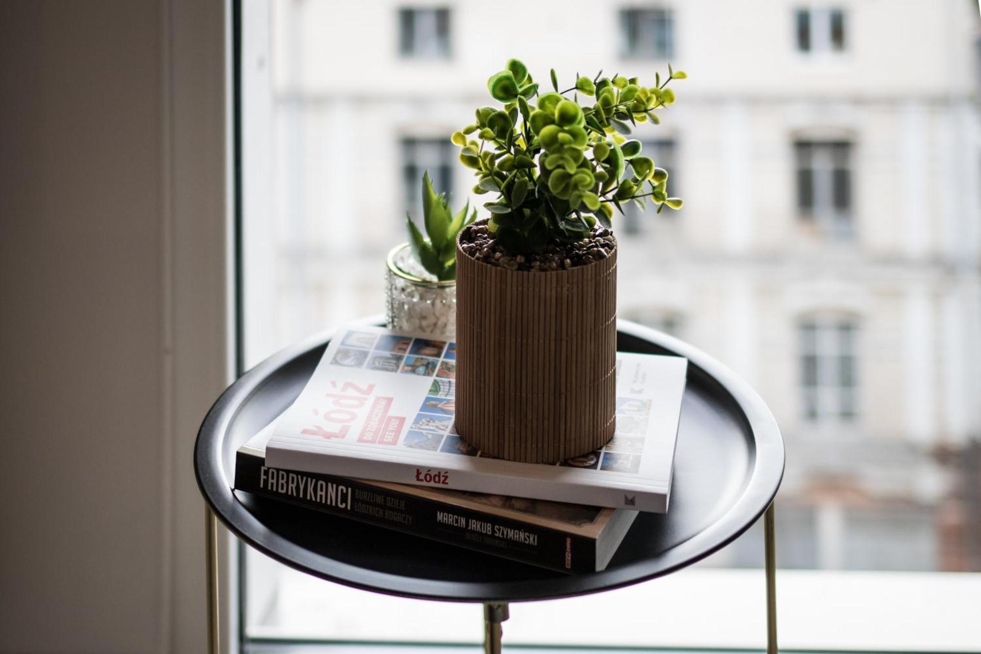 Parrot - 77 Wigury Street Apartment