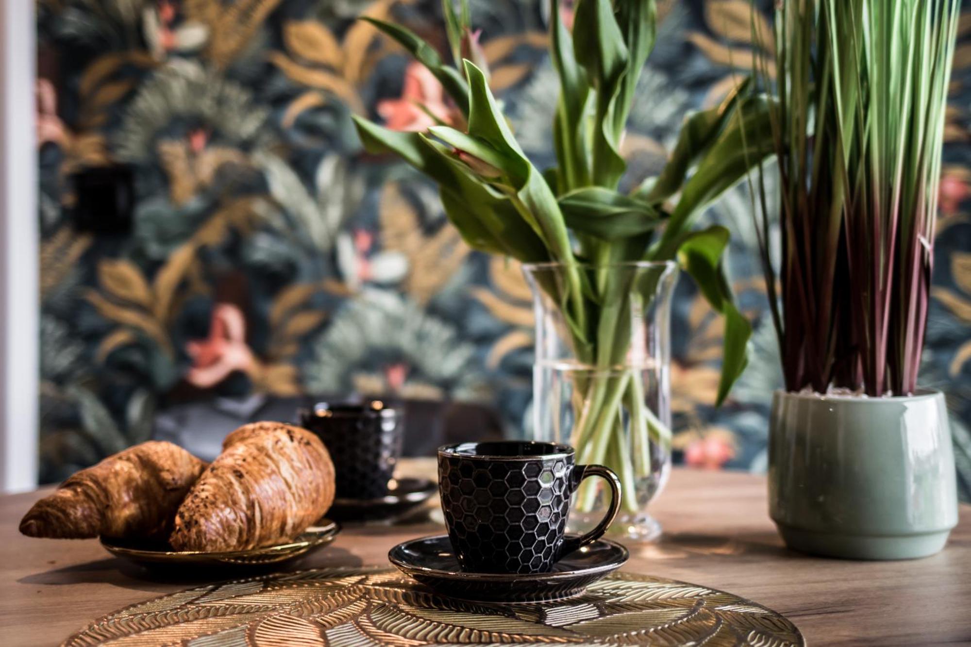 Parrot - 77 Wigury Street * Lodz (Lodz)